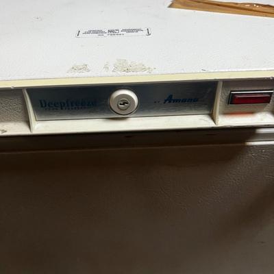 Chest FREEZER 
