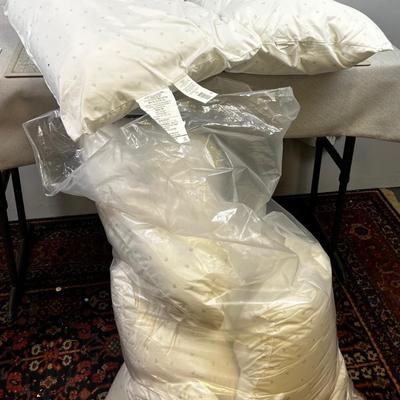 6 NEW Pillows 