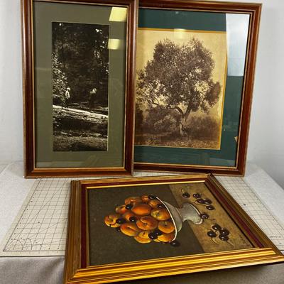 3 Framed Prints 