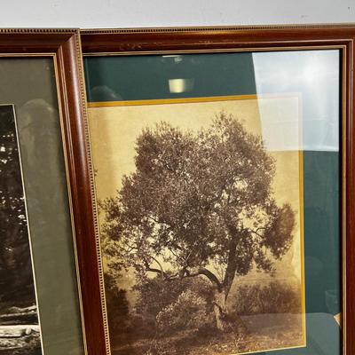 3 Framed Prints 