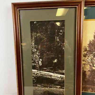 3 Framed Prints 