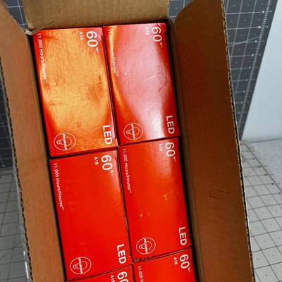 Case of 60 Watt LED Light Bulb - Appears to be a Dozen NEW 