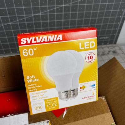Case of 60 Watt LED Light Bulb - Appears to be a Dozen NEW 