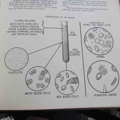 1968 Everyday Medical Handbook