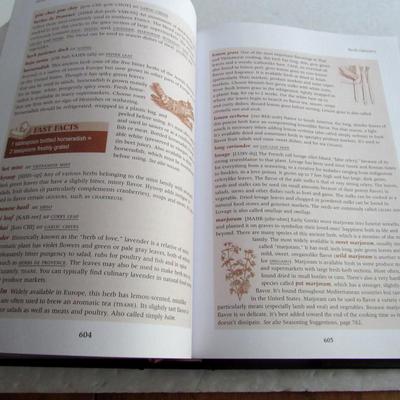 Huge 2009 Food Lover's Companion Book