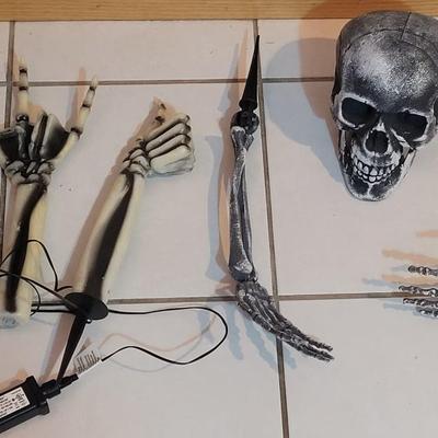 Skeleton Yard Deco for Halloween