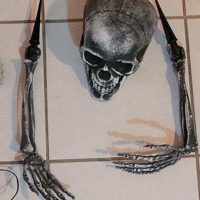 Skeleton Yard Deco for Halloween
