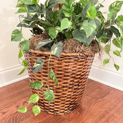 Artificial 7ft. Ficus Tree ~ Wicker Basket With Ivy