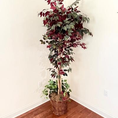 Artificial 7ft. Ficus Tree ~ Wicker Basket With Ivy
