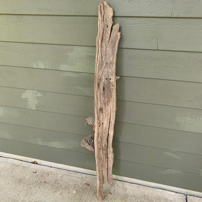 Shelf Fungus and Wood Wall Hanging (WS-KW)