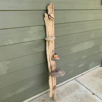 Shelf Fungus and Wood Wall Hanging (WS-KW)