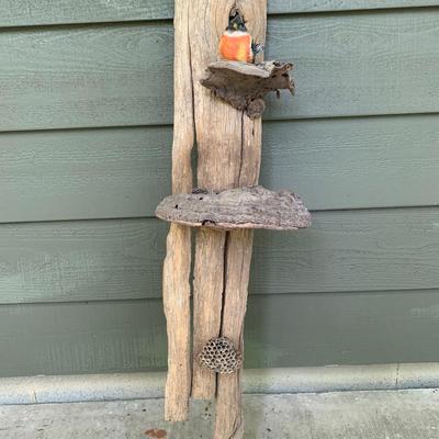 Shelf Fungus and Wood Wall Hanging (WS-KW)