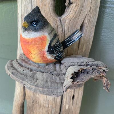 Shelf Fungus and Wood Wall Hanging (WS-KW)