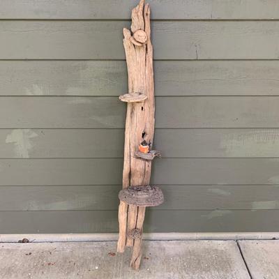 Shelf Fungus and Wood Wall Hanging (WS-KW)