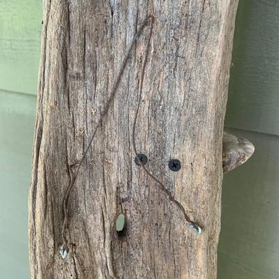 Shelf Fungus and Wood Wall Hanging (WS-KW)