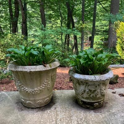 Four Concrete Planters (BY-DW)