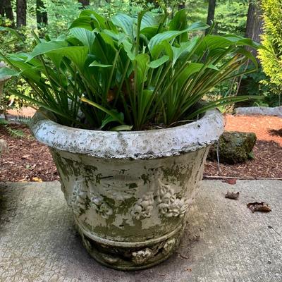 Four Concrete Planters (BY-DW)