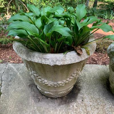 Four Concrete Planters (BY-DW)