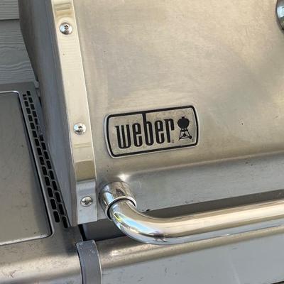 WEBER ~ Genesis ~ Stainless Natural Gas Grill
