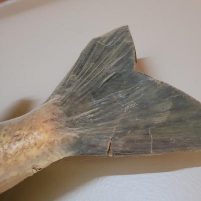 Mounted Muskie (BG-CE)