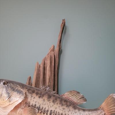 Mounted Large Mouth Bass (D-CE)