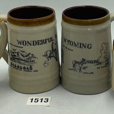 Mixed State Souvenir Mugs