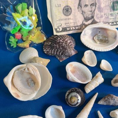 ASSORTMENT OF SEA SHELLS AND COLORFUL CORAL BITS
