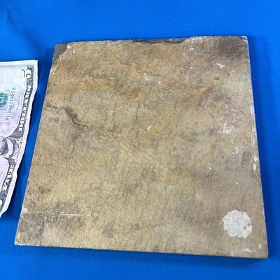 SLATE-LIKE TILE WITH MOOSE AND LEAVES INCISED