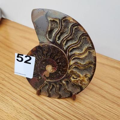 Split Ammonite with Stand 5.5