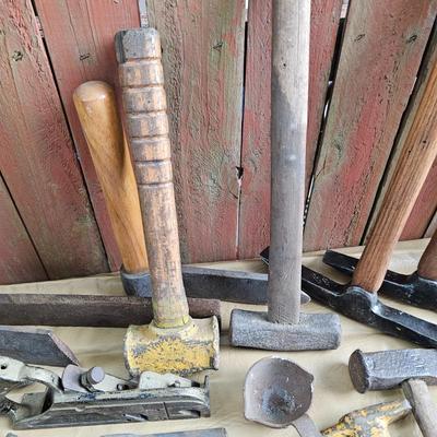 Wooden Handled Hand Tools  (WS1-JS)