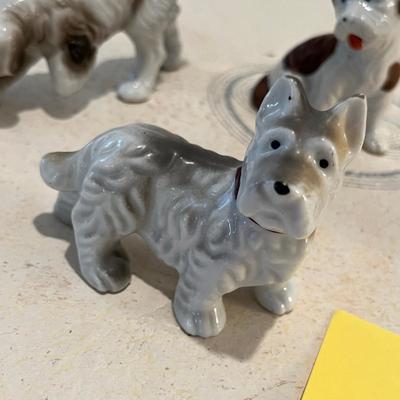 Doggie Lot