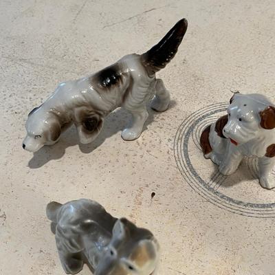 Doggie Lot