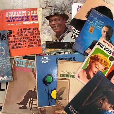 60+ Record Lot