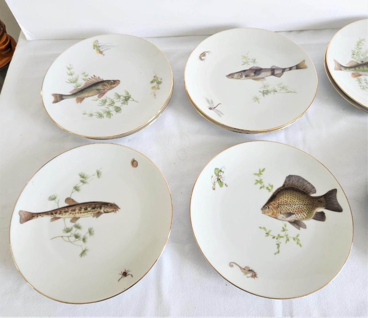 Lot 16 Set of 11 Antique Fish Plate German