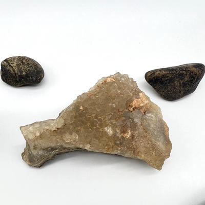 Petrified Wood & Rock Lot