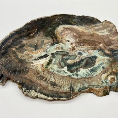 Petrified Wood & Rock Lot