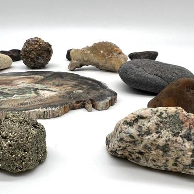 Petrified Wood & Rock Lot