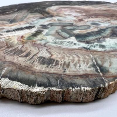Petrified Wood & Rock Lot