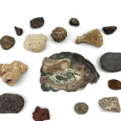 Petrified Wood & Rock Lot