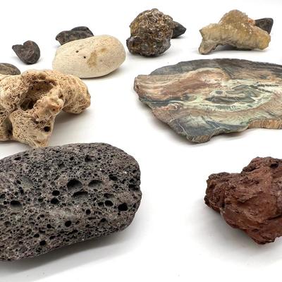Petrified Wood & Rock Lot