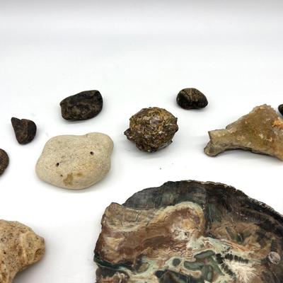 Petrified Wood & Rock Lot