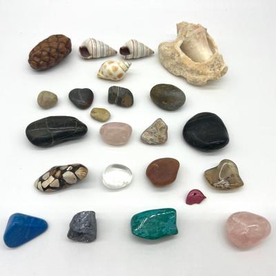 Gems & Shells Collection