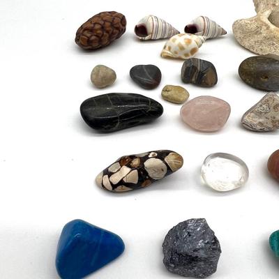 Gems & Shells Collection