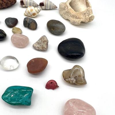 Gems & Shells Collection