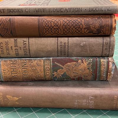Lot Antique Books - Some Late 1800's
