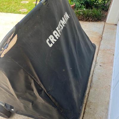 CRAFTSMAN II Leaf/Lawn Sweeper 38