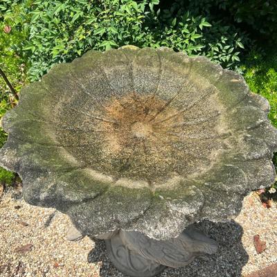 Swan Base Concrete Bird Bath