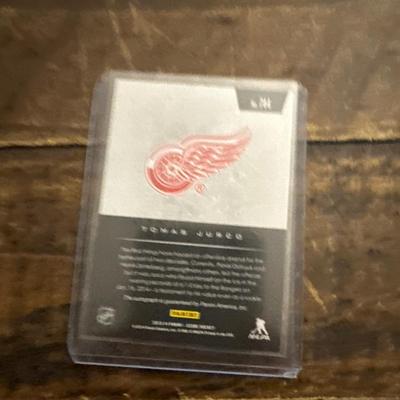 2013 - 2014 Panini Tomas Jurco