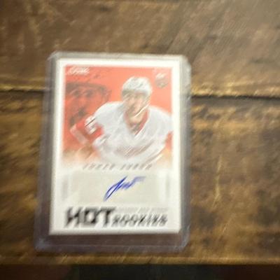 2013 - 2014 Panini Tomas Jurco