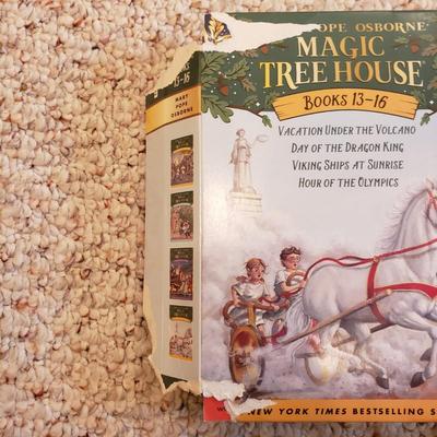 Magic Treehouse Book Collection (LR-DW)